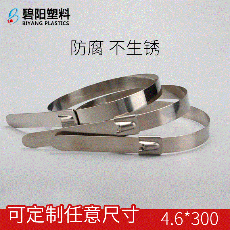201 stainless steel material oil power ship engineering use non-rust ball self-locking stainless steel cable tie