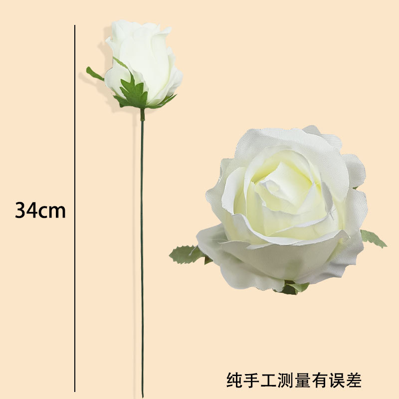 Picture of Amazon Cross-Border Artificial Flower Artificial Eucalyptus Leaf Stem Short Silver Dollar Branch Decorative Leaf Simulated Green Plant Plastic Leaf