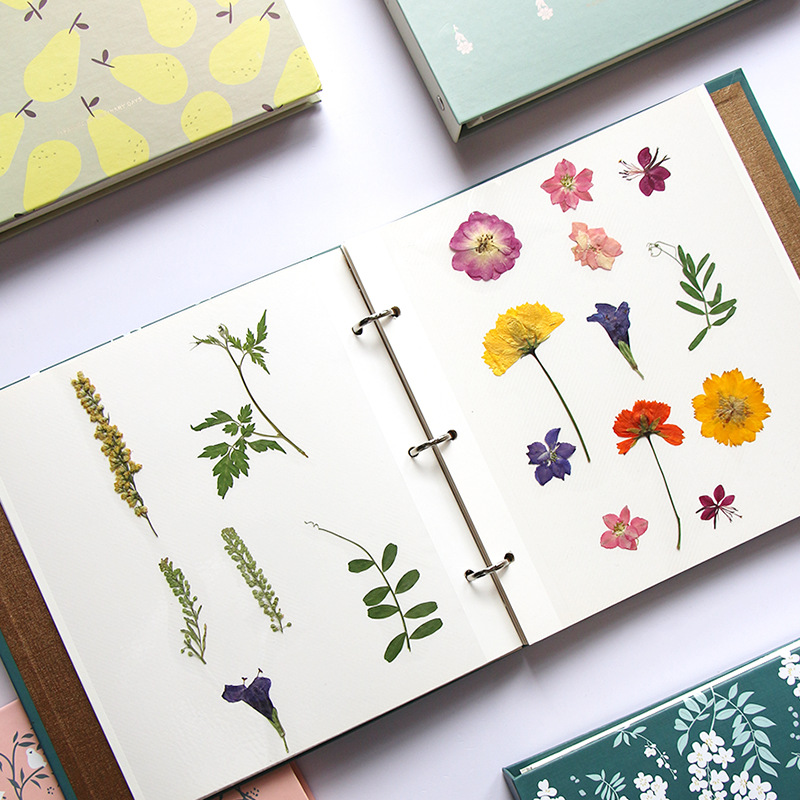 Plant Specimen Collection Book Leaves Dried Flowers Embossed Storage Book Loose-leaf Card Book Sticker DIY Creative Album