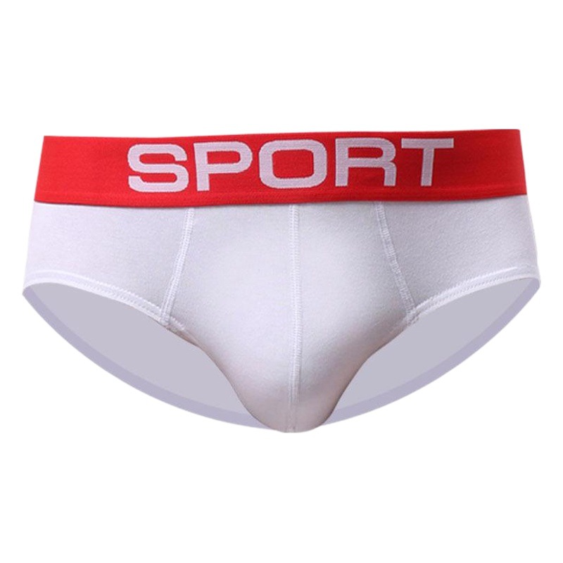 Men's Briefs Cotton Young Adult Boys Sexy Students Men's High-end Breathable New Low Waist Red