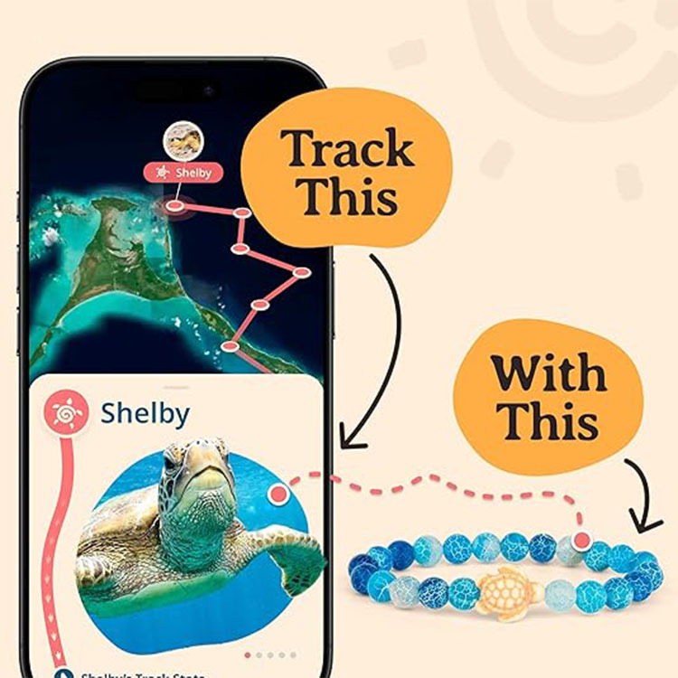 Picture of Zhou Lianfa Cross-border Wholesale New Green Turquoise Dolphin Volcanic Stone White Turquoise Stretch Bracelet Jewelry for Men and Women