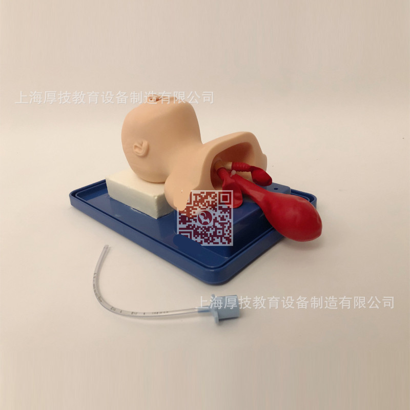 Newborn tracheal intubation model newborn infant intubation training simulation human body model dummy ET/J10