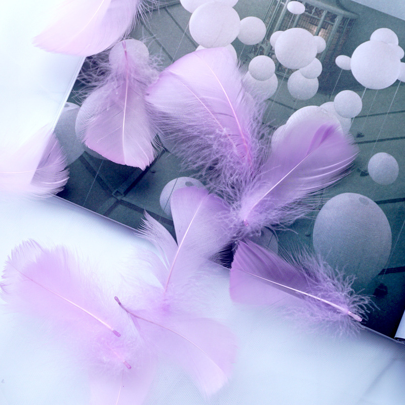 Picture of Manufacturer Wholesale Macaron Colorfulful Small Feather 5-8cm Goose Feather Small Floating Wave Ball Balloon Filling Decorative Material