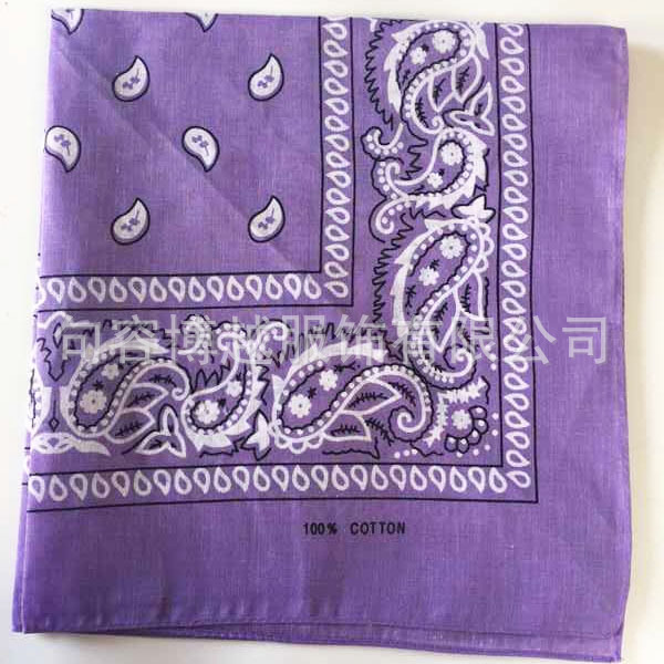Picture of Cross-Border Outdoor Multi-Functional Hip-Hop Hip-Hop Cotton Headscarf Tie-Dyed Paisley Sunflower Square Scarf Bandana