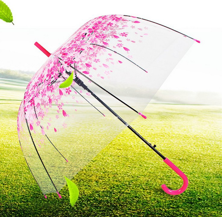 Picture of Korean Style Building Arched Apollo Princess Transparent Umbrella Umbrella Semi-automatic Creative Curved Hook Straight Long Handle Umbrella