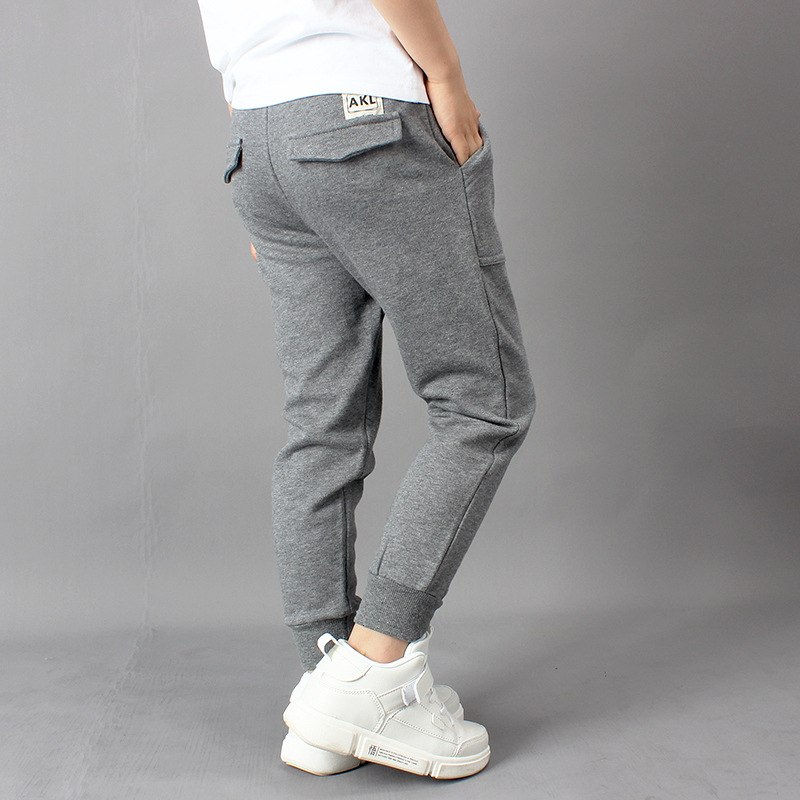 Picture of Spring and Autumn 2024 New Korean Style Boys' Sports Pants Large Children's Pure Cotton Casual Anti-mosquito Trousers Children's Pants