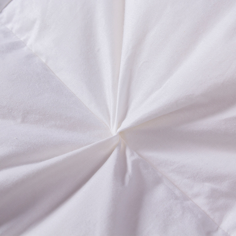 Picture of Cotton Down Velvet Quilt Core Quilt Cotton Twisted Flower Feather Silk Quilt Thickened Warm Winter Quilt Micro Business Generation Hair