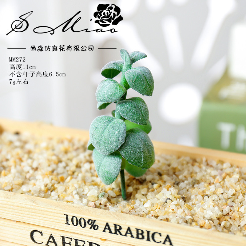 Picture of 003 Flocked Green Succulent Flower Head Creative DIY Supplies Bonsai Accessories Artificial Flower Jinhua Factory Direct Supply