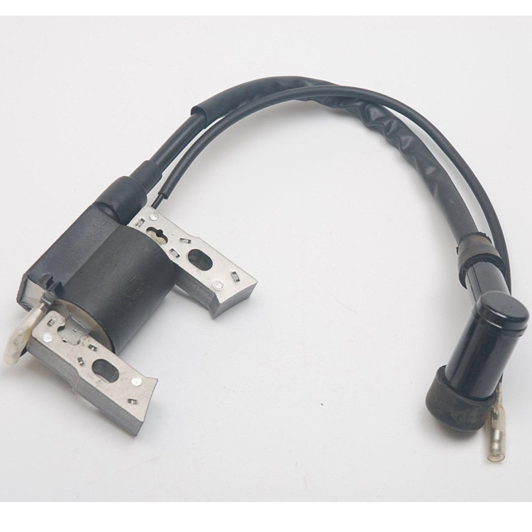 High Voltage Pack Ignition Coil Rd6800 Rdca6800 Rd68011 6800 8500