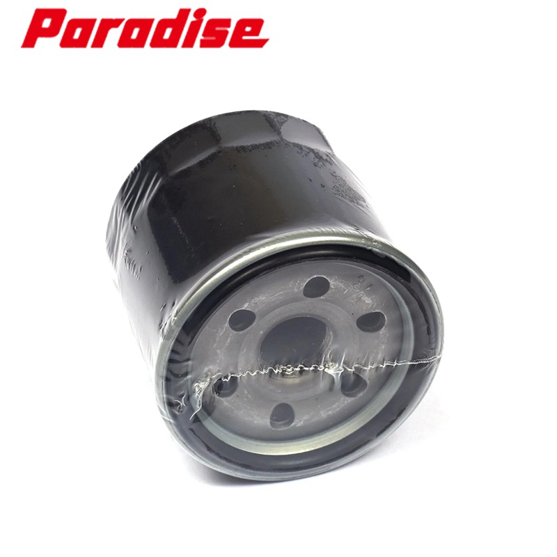 Briggs & Stratton Oil Filte 70185GS Oil filter