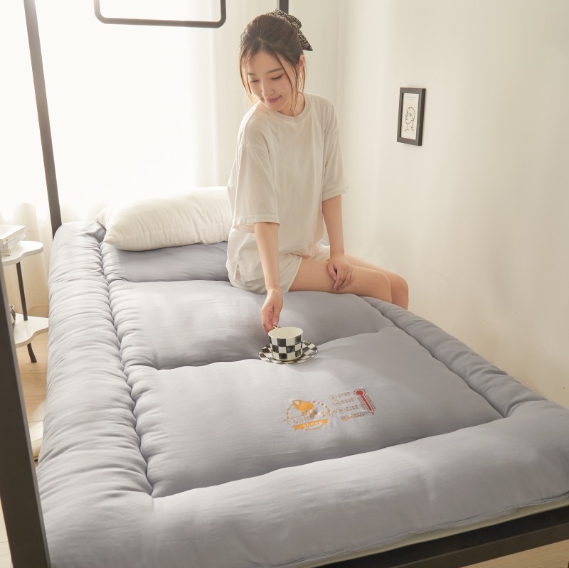 Picture of Thickened student dormitory mattress mat removable and washable tatami floor warm cushion school single factory wholesale