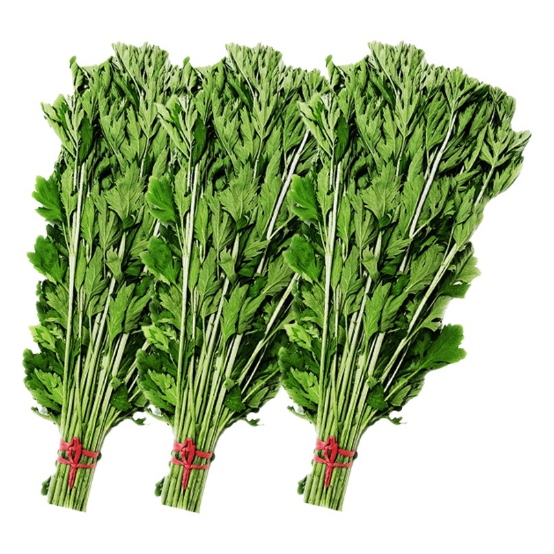 Dragon Boat Festival Fresh Mugwort, Dragon Boat Festival Mugwort, Dried Mugwort, Four-Season Mugwort Leaves, Whole Bundle, Window Hanging, Mugwort, Home Wholesale
