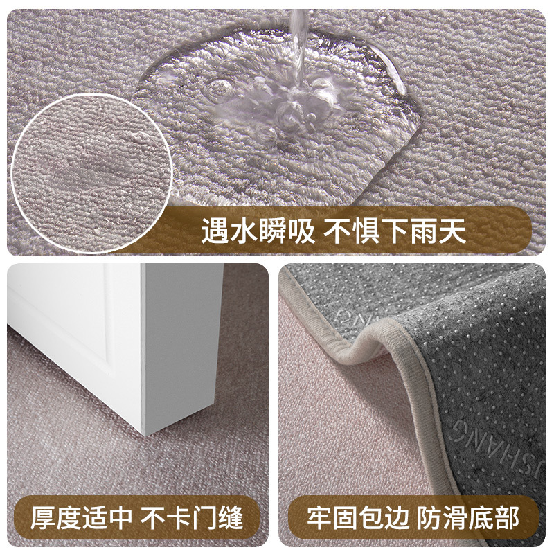 Picture of High-grade light luxury entrance door mat household entrance villa door mat stain-resistant wear-resistant foot mat can be cut