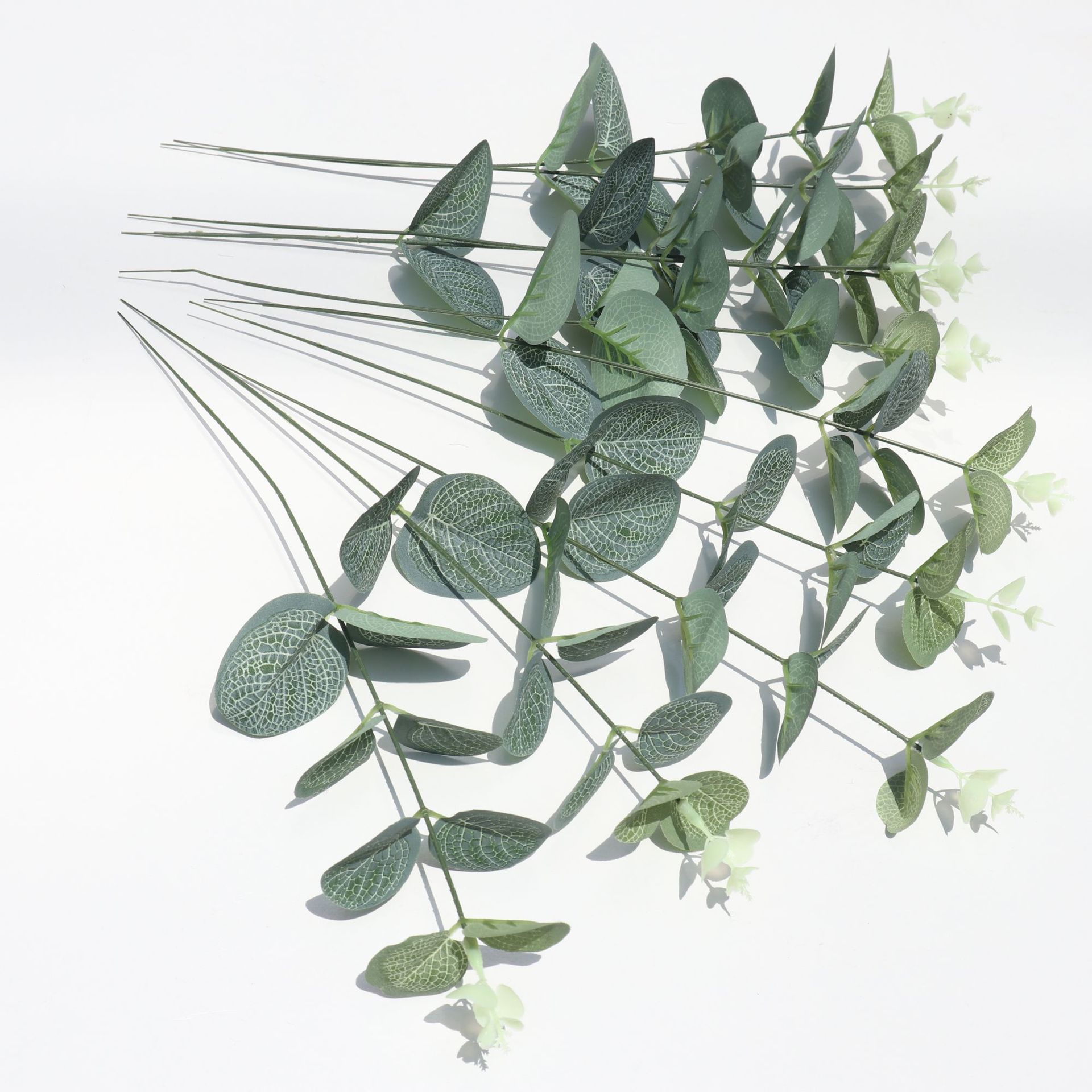 Picture of Amazon Simulation Single Money Leaf Eucalyptus Green Plant Wall Wedding Photography Photo Props High Artificial