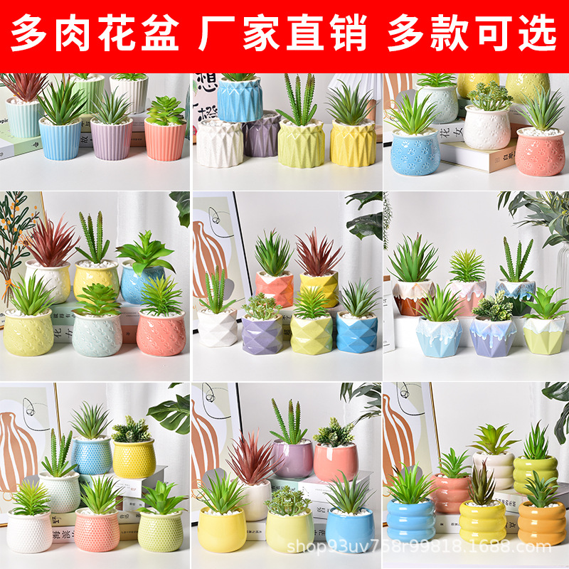Picture of Factory wholesale ceramic flower pot glaze combination creative home decoration fleshy flower pot simple meat green plant potted plant