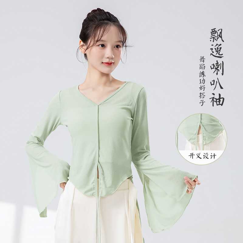 Classical Dance Gauze Clothing Chinese Dance Costume Body-Shaping Dance Top Women's New Dance Practice Clothes