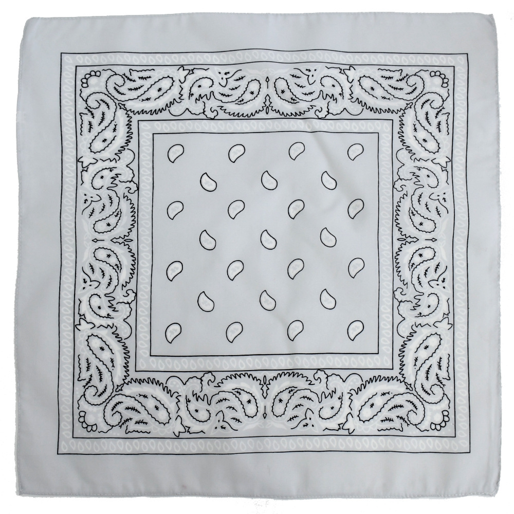 Picture of Factory direct supply in stock polyester square paisley scarf wholesale hip hop hip hop riding cashew flower scarf