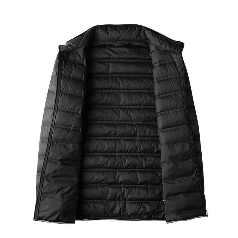 Picture of Foreign trade cut label original single plus size men's light thin feather cotton cotton-padded jacket men's fat plus fat collar warm autumn and winter coat
