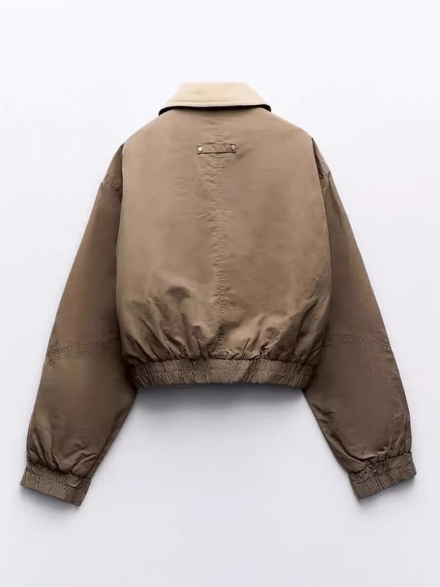 Cross-border foreign trade AliExpress explosions new foreign trade women's wholesale ZR in stock Maillard wear plus cotton jacket