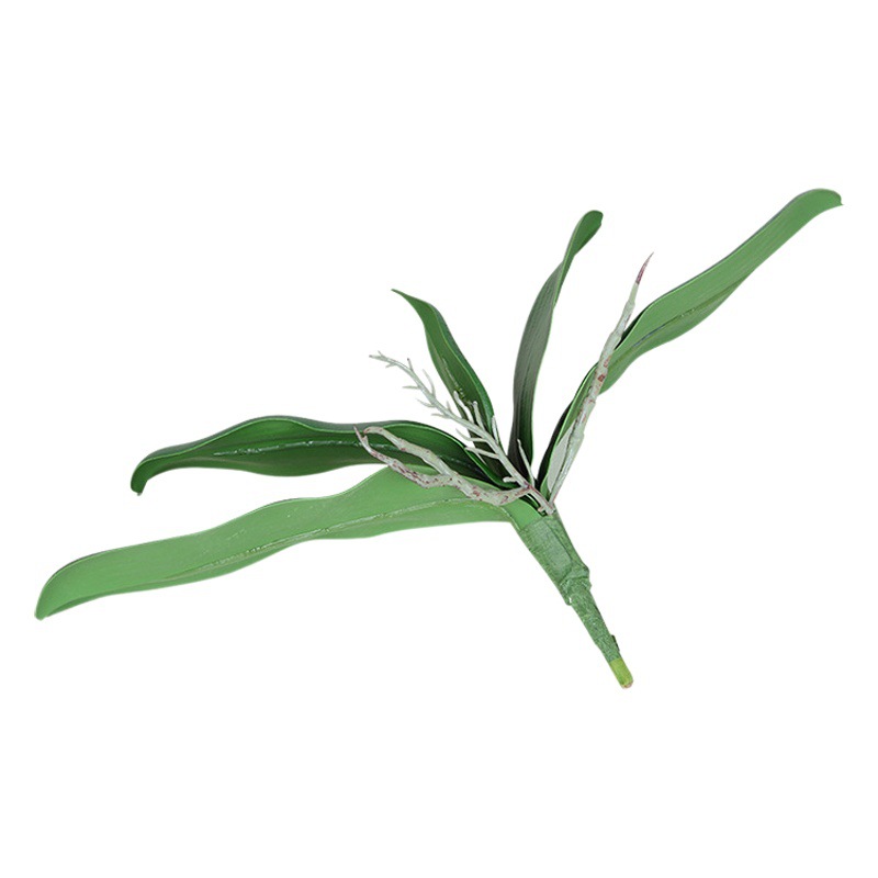 Artificial phalaenopsis leaves PU butterfly orchid leaves wholesale hand feeling gentleman orchid leaves factory wholesale leaves