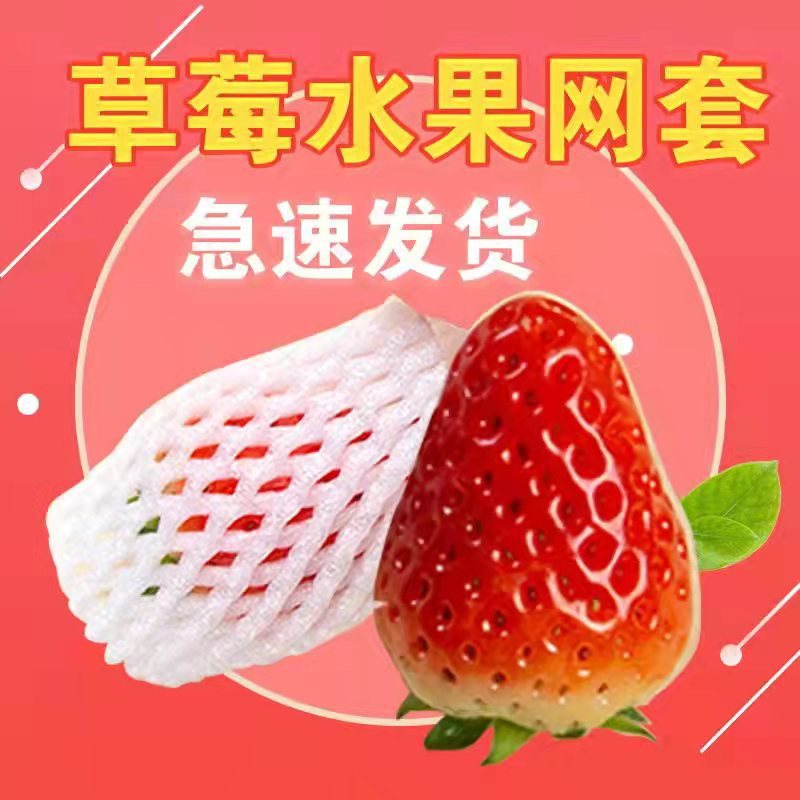Fruit net cover shockproof packaging strawberry jujube relic orange net bag net cover wholesale pearl cotton discount