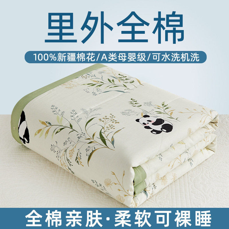 Picture of Machine washable Class A Mother and Child Pure Cotton Summer Cool Quilt Cotton Air-conditioning Quilt Children's Pure Cotton Summer Quilt Cartoon Thin Quilt Core 1