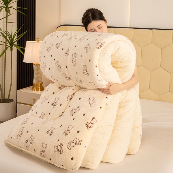 Double-sided lambswool quilt, thickened warm snowflake velvet quilt core for student dormitory, single winter quilt cross-border export