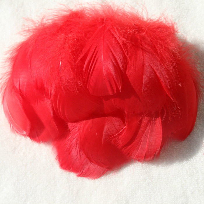 Picture of diy handmade color floating feather goose feather dream catcher wave ball gift box filling decoration materials