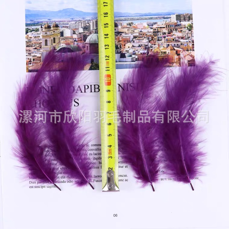 Picture of turkey feather DIY dream catcher decorative pointed tail feather flower tree wreath wave ball raw material funny cat stick chicken feather