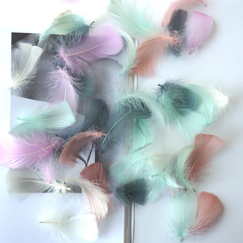 Picture of Manufacturer Wholesale Macaron Colorfulful Small Feather 5-8cm Goose Feather Small Floating Wave Ball Balloon Filling Decorative Material
