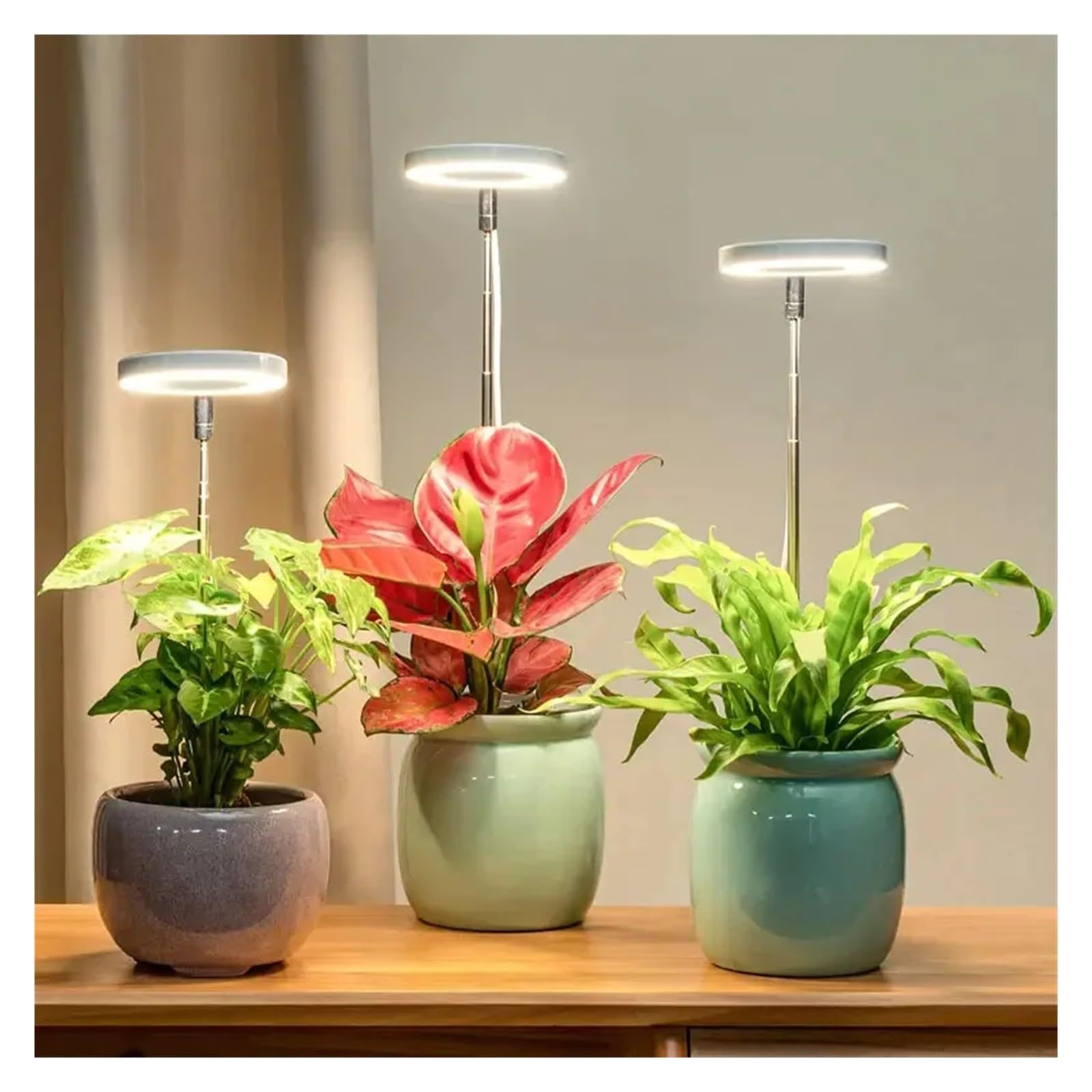 3.5 inch ring LED telescopic plant lamp indoor growth lamp fleshy full spectrum flower timing green plant fill light