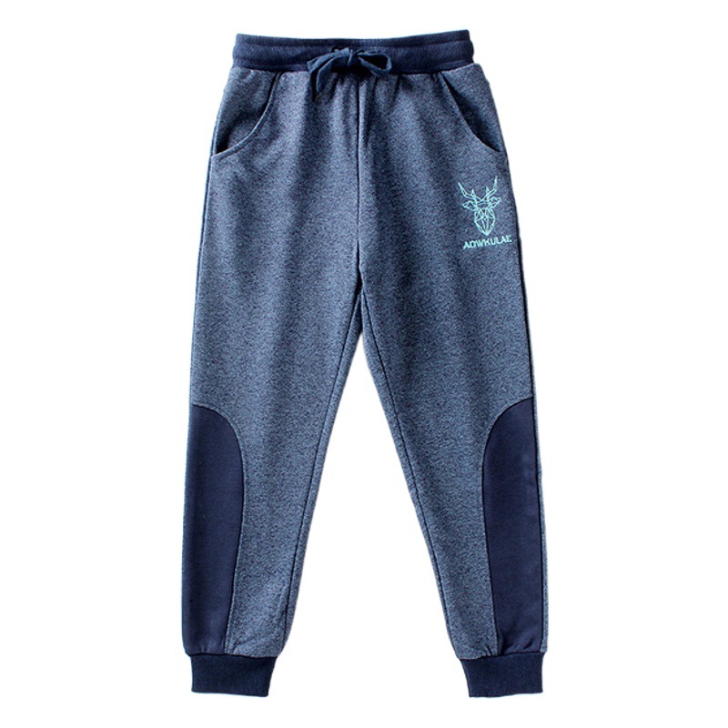 Children's Pants 2024 Spring and Autumn Korean Style Boys' Long Pants, Anti-Mosquito Pants for Older Children, Children's Sports Pants, Trendy Brand Wholesale