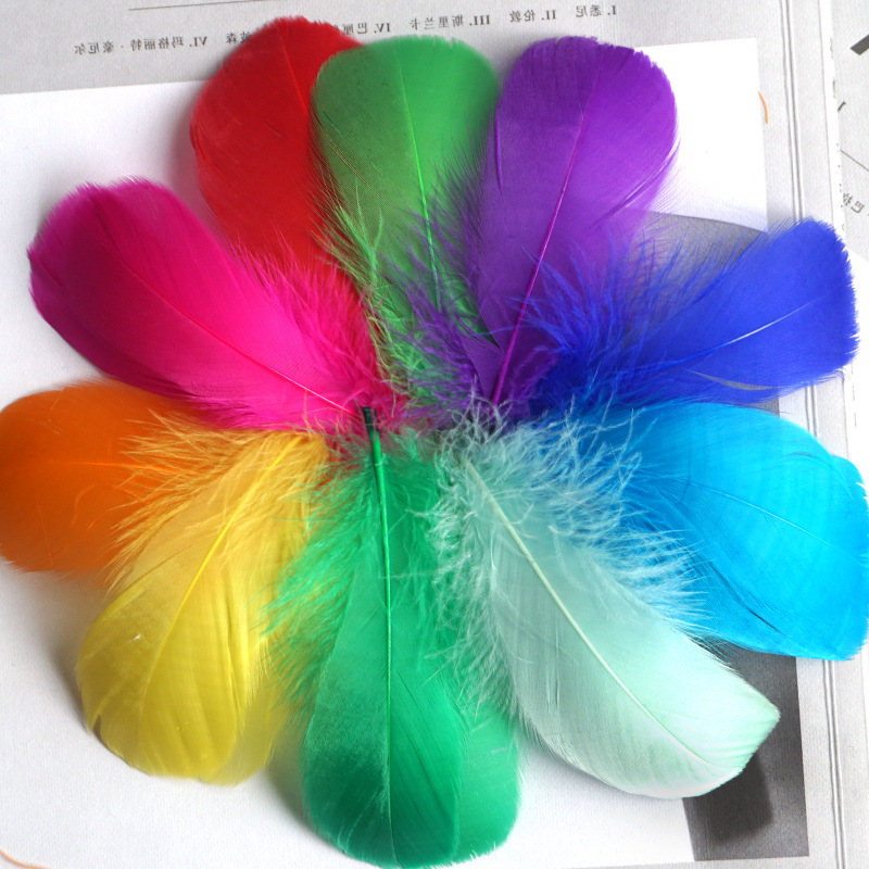 Picture of Color feather DIY floating dyeing goose feather dream catcher wave ball gift box filling decorative materials wholesale