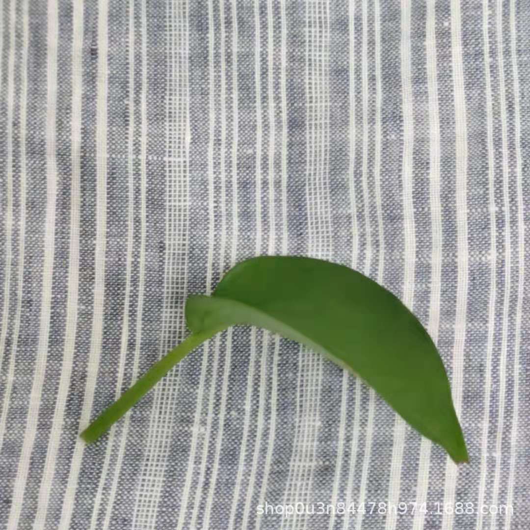 Picture of 100% linen Dark Blue and White Multi-stripes Wide linen Fine Stripesd Wide linen Enzyme Washing Material