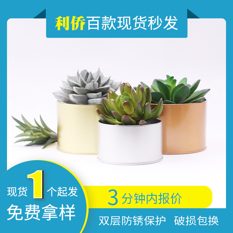 Plant Potted Round Box Iron Box Canned Cat Grass Metal Potted Jar Fleshy Cactus Ball Metal Flower Pot Green Plant Jar