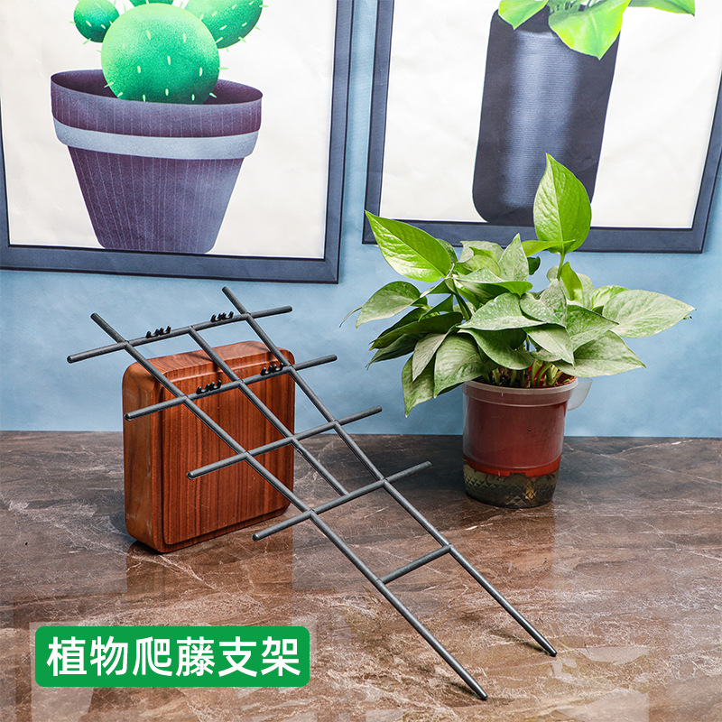 Fan-shaped Black Plastic Climbing Stand Garden Balcony Flower Pot Support Stand Rose Jasmine Rose Gardening Flower Stand