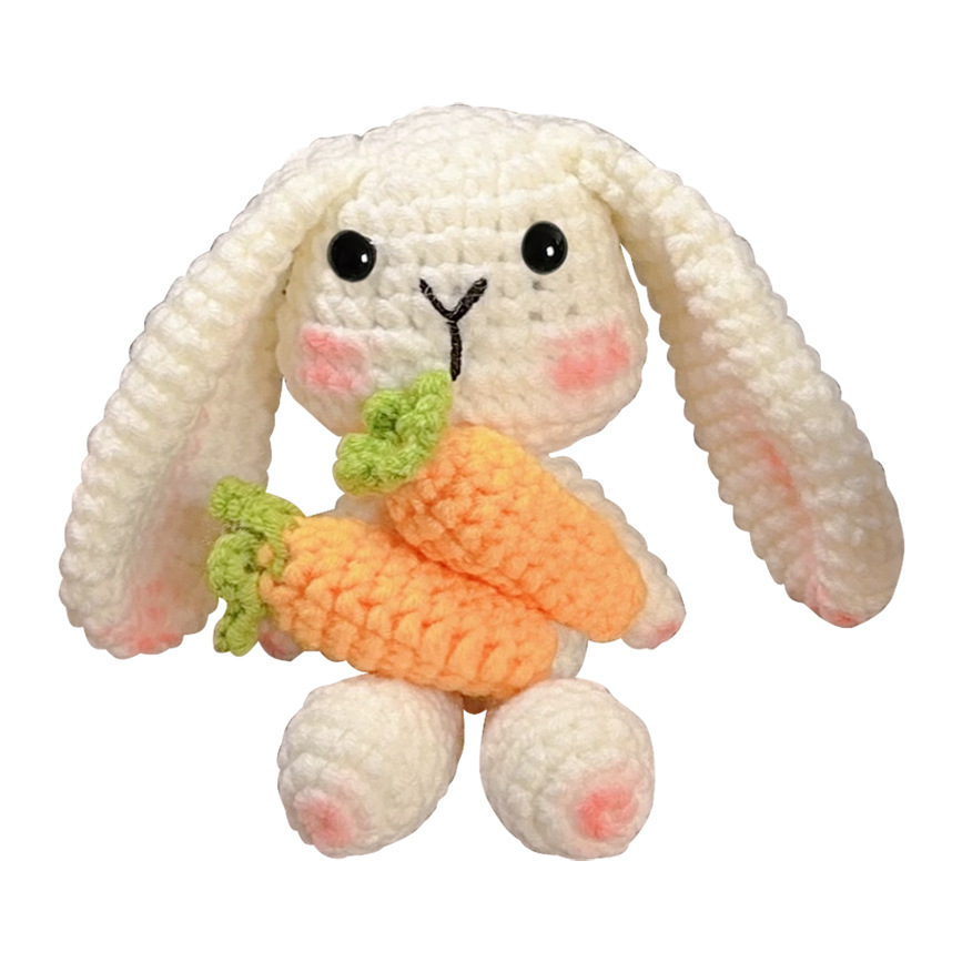 Picture of Video tutorial adult and children learn crochet suit DIY knitting supplies 3 animal crocheting material package