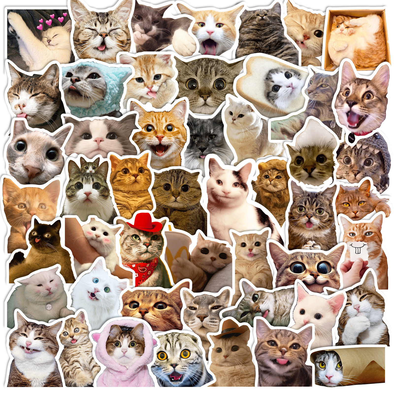 50 cat stickers cute cute pet cat cute net red cat expression bag graffiti cross-border stickers wholesale