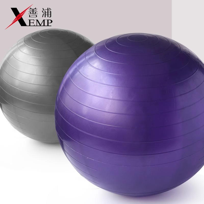 /10Y Yoga Ball Thickened Explosion-Proof Fitness Ball Sensory Training Large Dragon Ball Pelvic Floor Muscle Training
