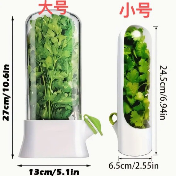Cross-border Amazon Vanilla Preservation Box Vegetable Preservation Box Anti-crush Preservation Creative Cilantro Preservation Storage Cup