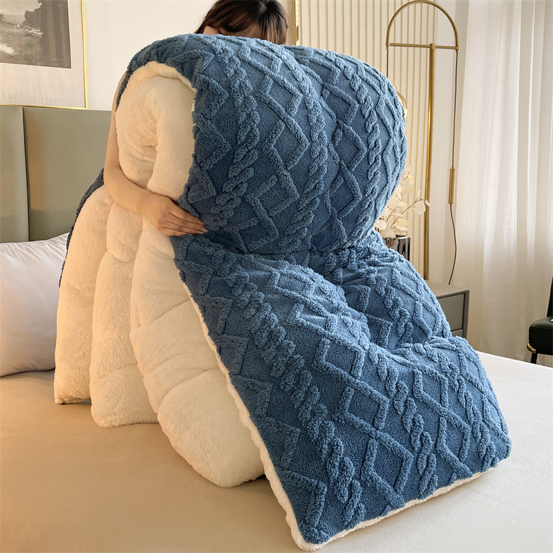 Picture of Taff velvet winter quilt lamb velvet arctic velvet core single double padded warm winter quilt factory wholesale generation