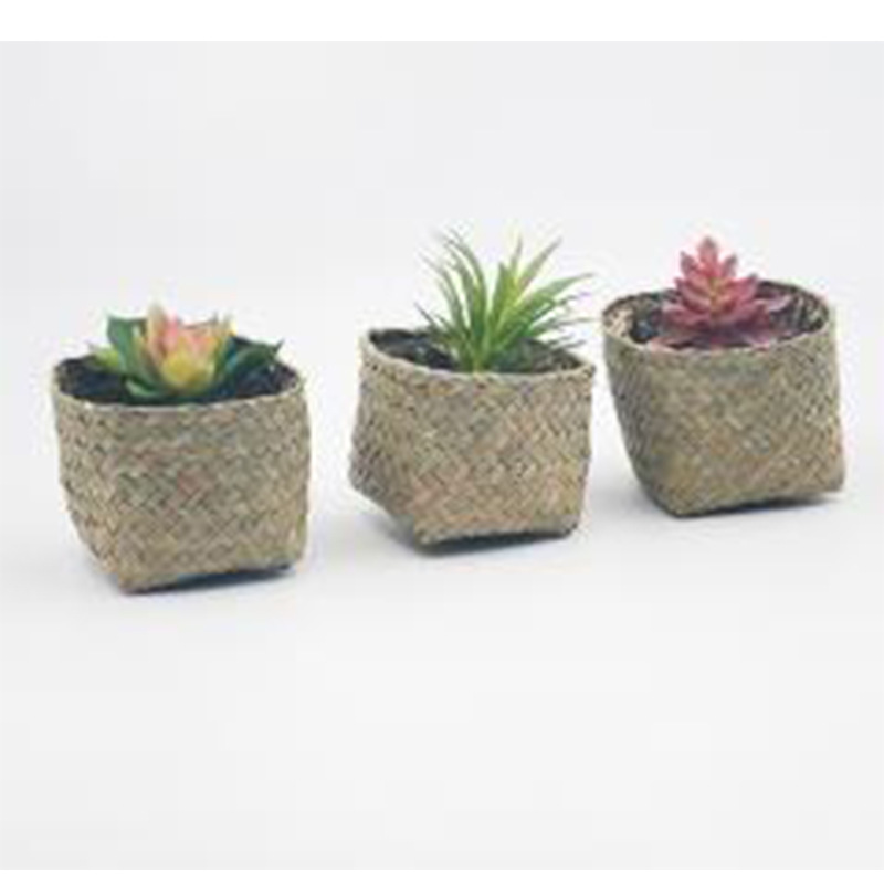 Picture of Black Rice Bag, Total Collection, Environmentally Friendly Mini Flower Pot, Vanilla Bag, Wedding Candy Box, Candy Biscuits and Rice Balls