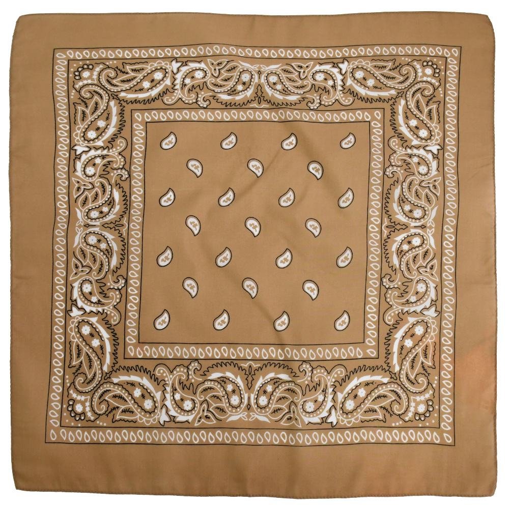 Picture of Factory direct supply in stock polyester square paisley scarf wholesale hip hop hip hop riding cashew flower scarf