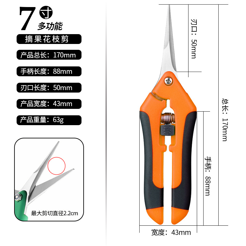 Picture of Gardening Scissors, Pruning Shears, Fruit and Vegetable Scissors, Branch Scissors, Fruit Tree Scissors, Grape Picking Scissors, Garden Tools, Fruit Picking Ready Stock