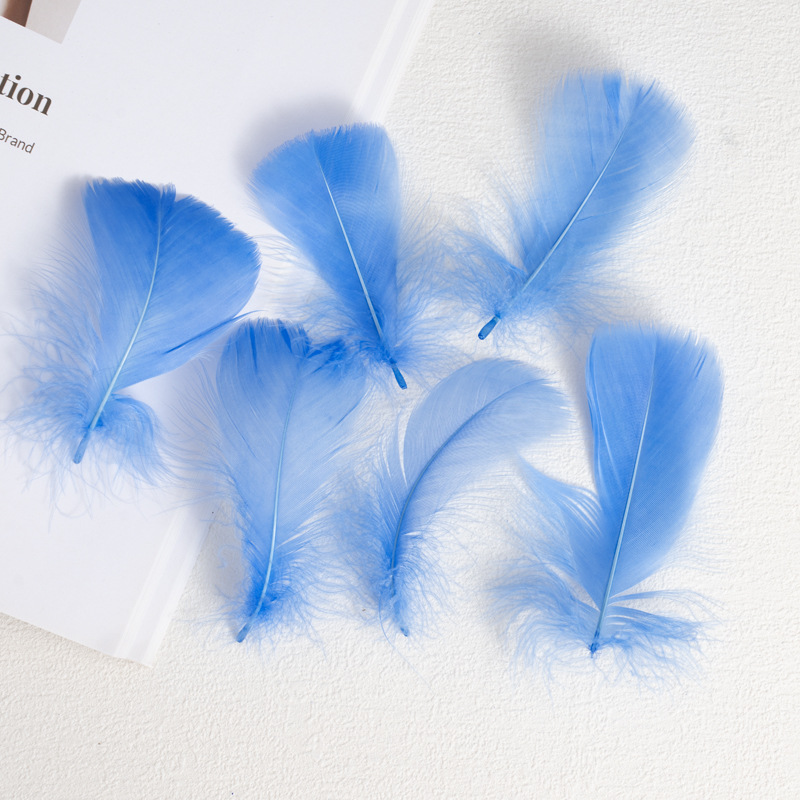 Picture of Manufacturer Wholesale Macaron Colorfulful Small Feather 5-8cm Goose Feather Small Floating Wave Ball Balloon Filling Decorative Material