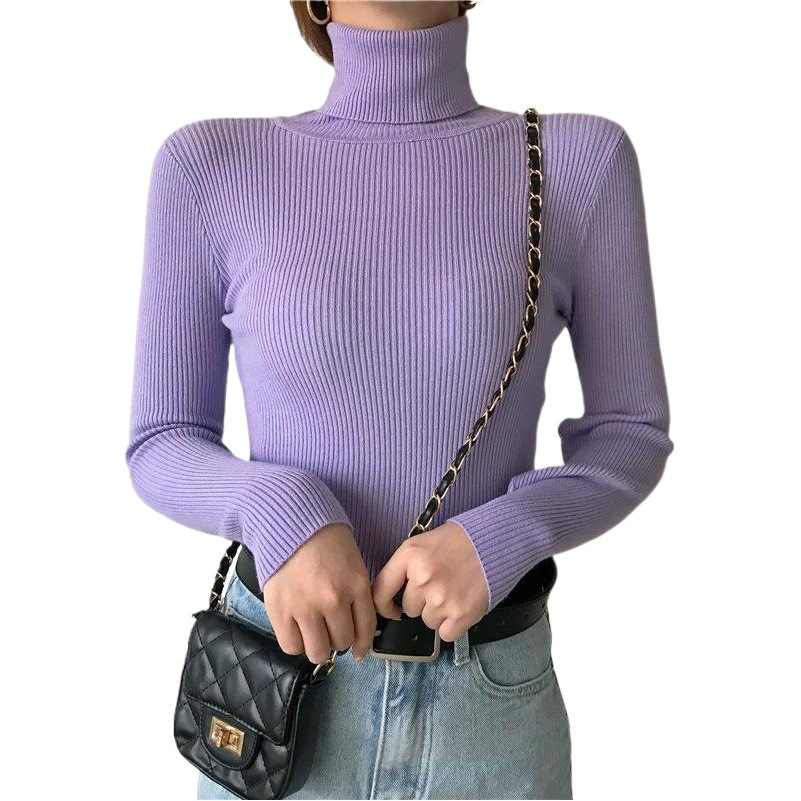 Spring and Autumn 2025 New Korean Style Black Easiest for Match High Collar Thickened Slim Long Sleeve Knitted Bottoming Shirt Women's Top Trbottomy