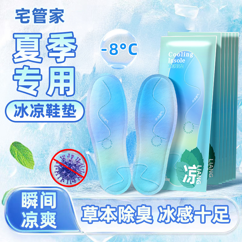 Mint Deodorant Insoles, Summer Herbal Breathable and Cooling Foot Pads, Unisex Sweat-Absorbent, Deodorant and Cool Insoles