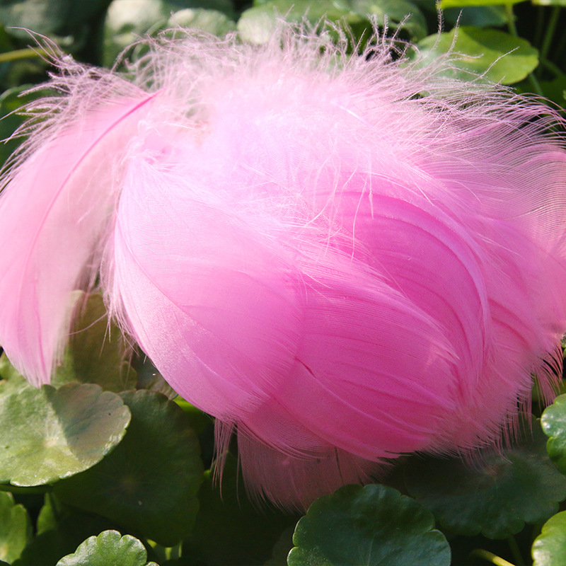 Picture of diy handmade color floating feather goose feather dream catcher wave ball gift box filling decoration materials