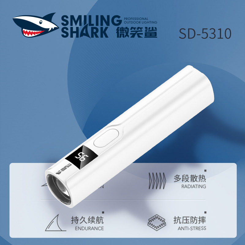 Daily Violet Light Identification Detection Lamp Digital Power Display Nail Light Portable USB Rechargeable Violet Flashlight