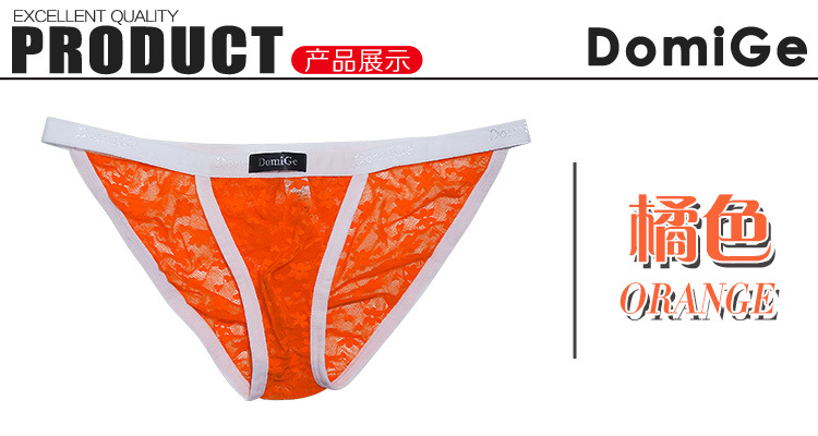 Picture of DomiGe Dumi International transparent mesh men's briefs Boxed Wholesale 5235 new men's briefs